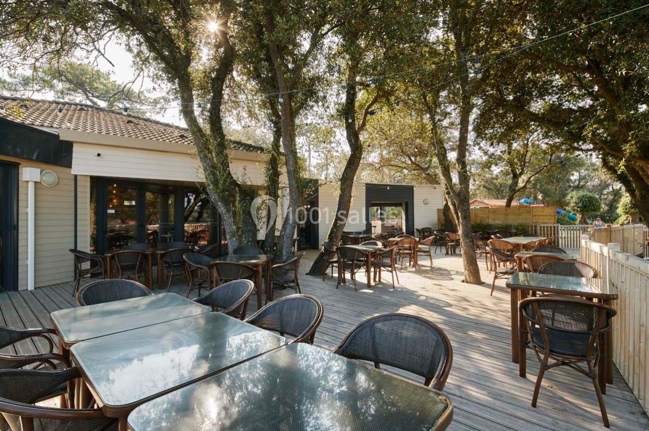 Terrasse en bois avec tables et chaises entourée d'arbres, attenante à un bâtiment clair avec grandes baies vitrées.