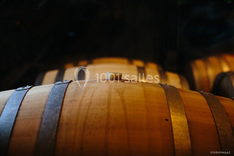 Location salle Saint-Étienne-de-Baïgorry (Pyrénées-Atlantiques) - La Cave D'irouleguy #8