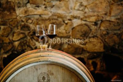 Location salle Saint-Étienne-de-Baïgorry (Pyrénées-Atlantiques) - La Cave D'irouleguy #9