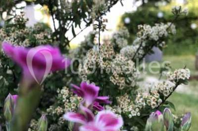 Location salle Saint-Cloud (Hauts-de-Seine) - La Lanterne #15