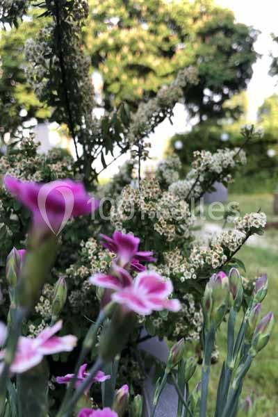 Location salle Saint-Cloud (Hauts-de-Seine) - La Lanterne #15