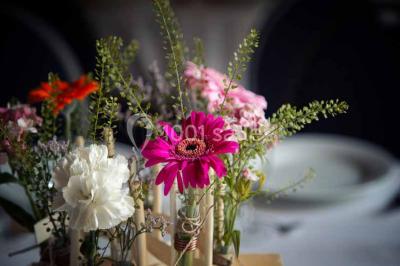 Location salle Le Puy-Notre-Dame (Maine-et-Loire) - Hôtel & Spa Chai de la Paleine #24