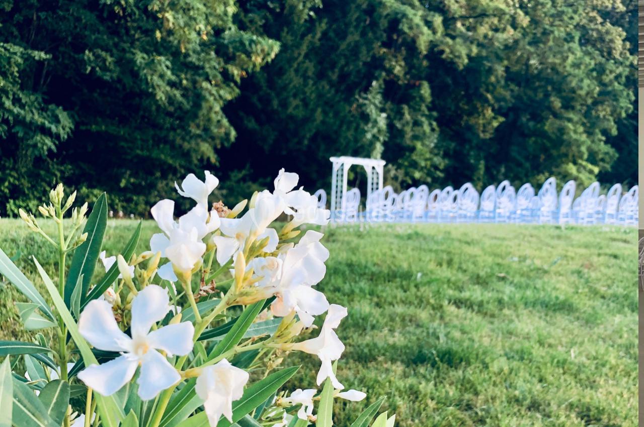 Fleurs blanches au premier plan avec des chaises alignées et une arche blanche en arrière-plan sur une pelouse verdoyante.