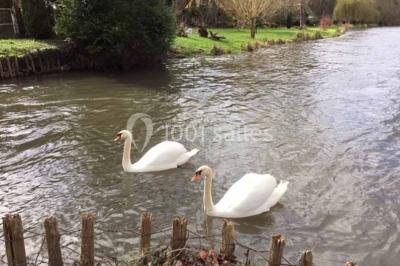 Location salle Saint-Vigor (Eure) - Le Domaine De Saint Vigor #24