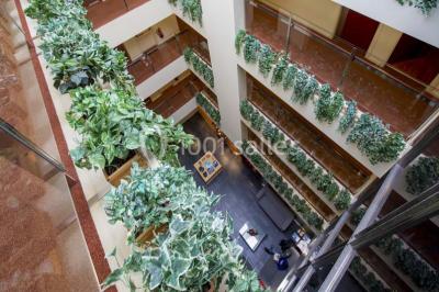 Location salle Andorre (Andorre) - Hôtel Font D'argent Canillo #15