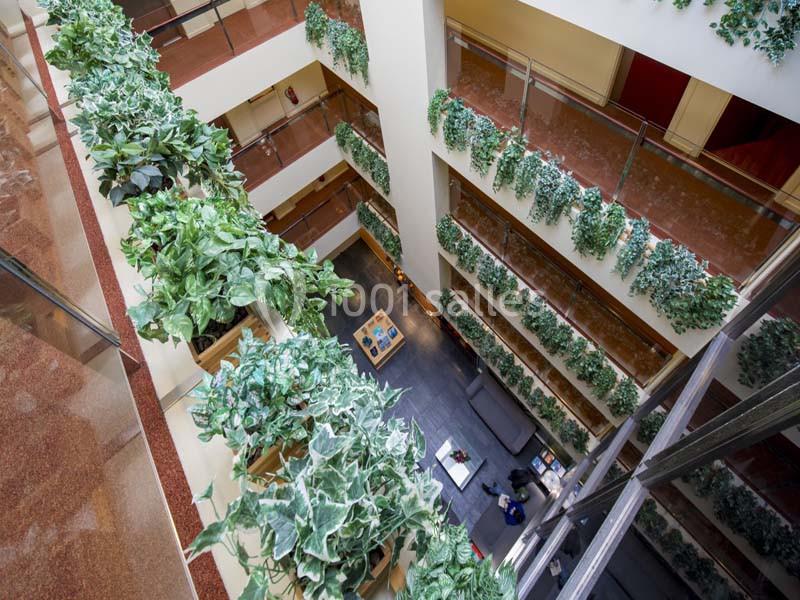 Location salle Andorre (Andorre) - Hôtel Font D'argent Canillo #4