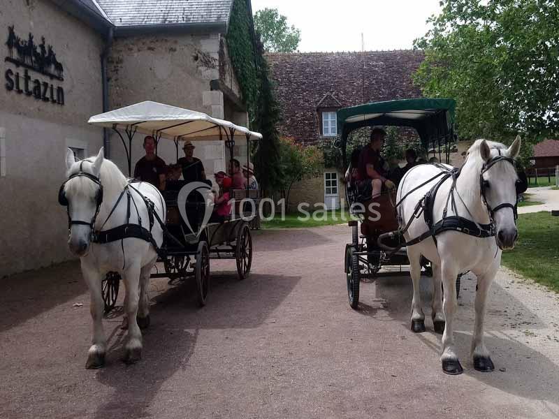 Deux calèches tirées par des chevaux blancs transportent des passagers devant des bâtiments en pierre.