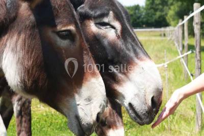 Plan en vue aérienne d'un appartement avec deux chambres, une salle de bain, une cuisine, un salon et une terrasse aménagée.