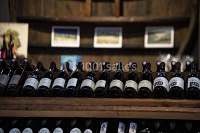 Location salle Lattes (Hérault) - Maison des Vins du Languedoc - Mas Saporta #13