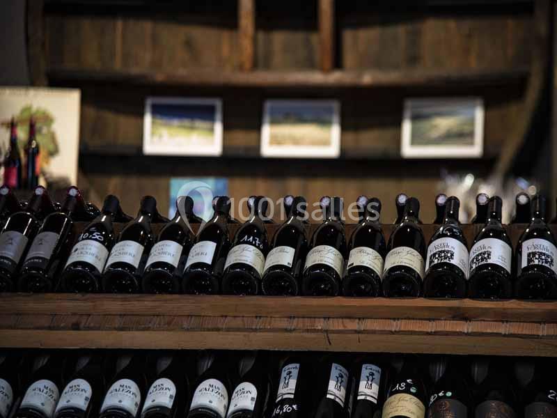 Location salle Lattes (Hérault) - Maison des Vins du Languedoc - Mas Saporta #11