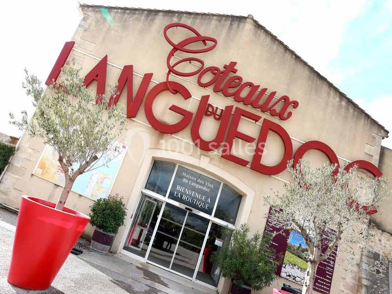 Location salle Lattes (Hérault) - Maison des Vins du Languedoc - Mas Saporta #10