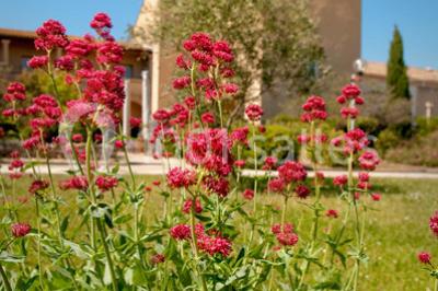 Location salle Lattes (Hérault) - Maison des Vins du Languedoc - Mas Saporta #13