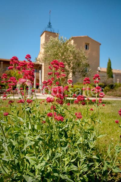 Location salle Lattes (Hérault) - Maison des Vins du Languedoc - Mas Saporta #5