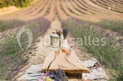 Location salle Aix-en-Provence (Bouches-du-Rhône) - Domaine Terre Ugo #23