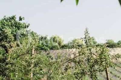 Location salle Aix-en-Provence (Bouches-du-Rhône) - Domaine Terre Ugo #23