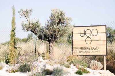 Domaine Terre Ugo Domaine Terre Ugo
