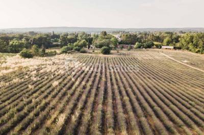 Location salle Aix-en-Provence (Bouches-du-Rhône) - Domaine Terre Ugo #23