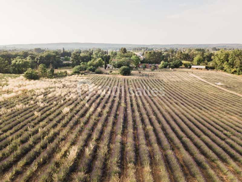Location salle Aix-en-Provence (Bouches-du-Rhône) - Domaine Terre Ugo #3