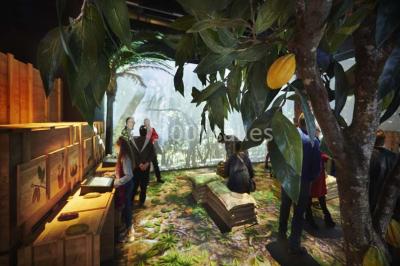 Verres de vin rouge et blanc sur un tonneau en bois, accompagnés de chocolats assortis disposés sur des tablettes.