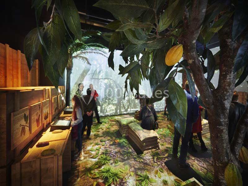 Exposition immersive avec des visiteurs observant des panneaux explicatifs sous un arbre dans un décor de forêt tropicale.