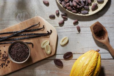 Verres de vin rouge et blanc sur un tonneau en bois, accompagnés de chocolats assortis disposés sur des tablettes.