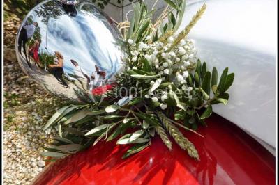 Location salle Saint-Maximin-la-Sainte-Baume (Var) - Le Ds - Domaine des Sources #64