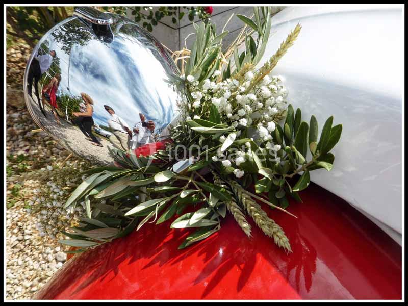 Location salle Saint-Maximin-la-Sainte-Baume (Var) - Le Ds - Domaine des Sources #21