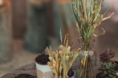 Location salle Soulac-sur-Mer (Gironde) - Les Frères Nicoll's #23