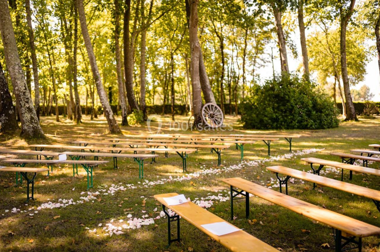Bancs en bois disposés en extérieur sous des arbres, avec des pétales blancs au sol et une roue décorative en arrière-plan.
