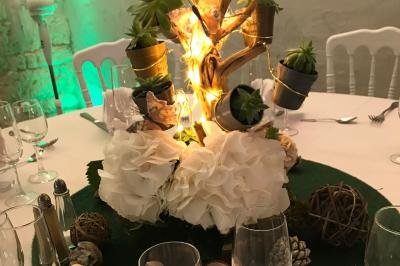 Location salle Le Puy-Sainte-Réparade (Bouches-du-Rhône) - Domaine du Vert Moulin #45