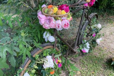 Location salle Le Puy-Sainte-Réparade (Bouches-du-Rhône) - Domaine du Vert Moulin #45