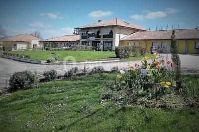 La Haie des Vignes La Haie des Vignes