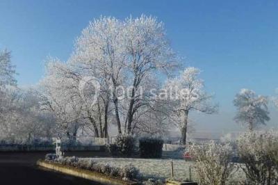 Arbres et arbustes couverts de givre dans un paysage rural sous un ciel bleu clair.