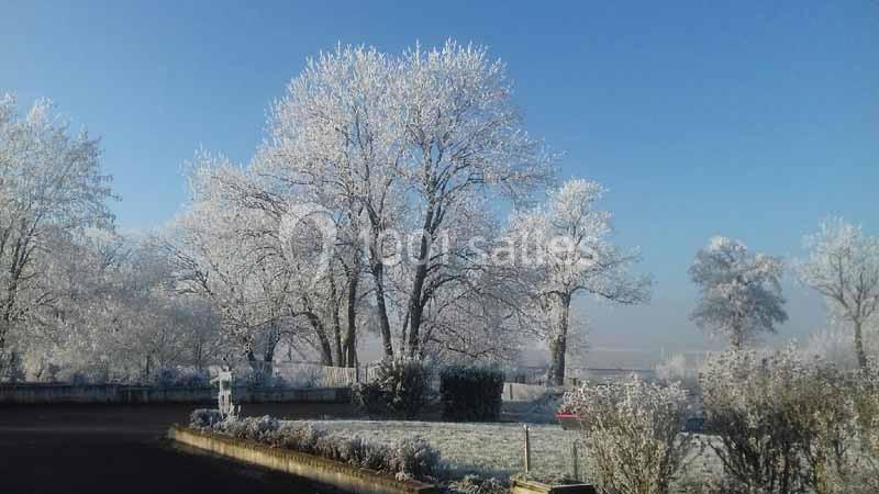 Arbres et arbustes couverts de givre dans un paysage rural sous un ciel bleu clair.