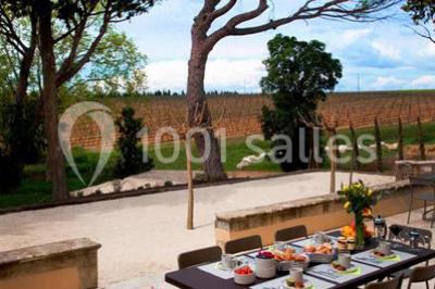 Location salle Beauvoisin (Gard) - Château Bellefontaine #24