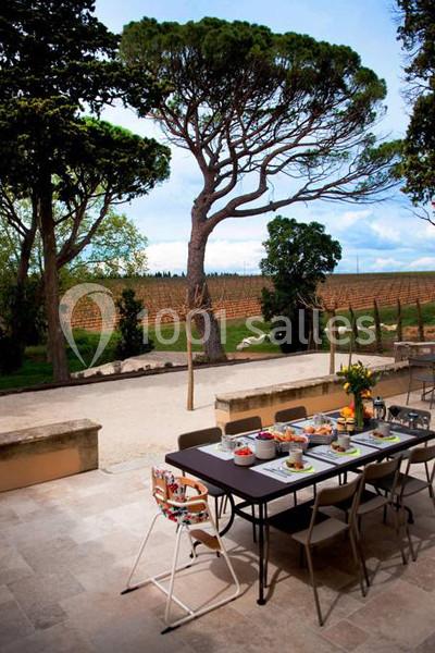 Location salle Beauvoisin (Gard) - Château Bellefontaine #6