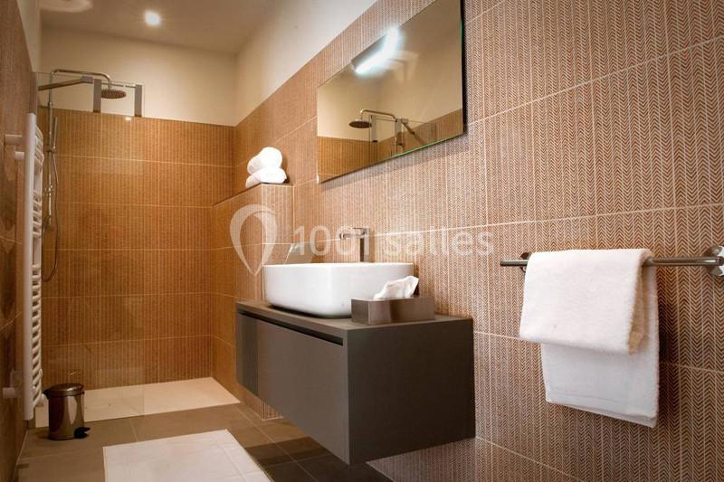 Location salle Beauvoisin (Gard) - Château Bellefontaine #19