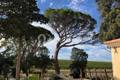 Location salle Beauvoisin (Gard) - Château Bellefontaine #24