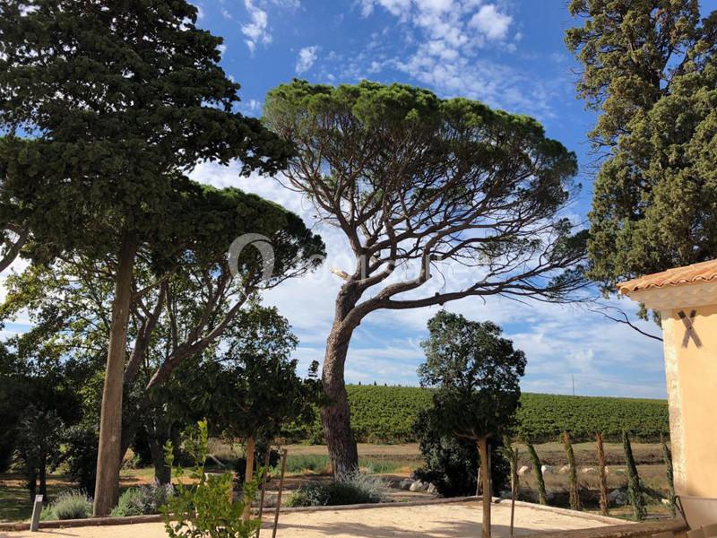 Location salle Beauvoisin (Gard) - Château Bellefontaine #18