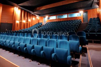 Vue aérienne d'un château médiéval entouré de verdure, au cœur d'une petite ville avec des habitations et des routes.