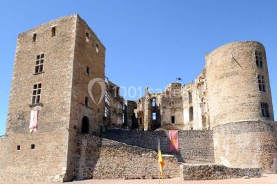 Vue aérienne d'un château médiéval entouré de verdure, au cœur d'une petite ville avec des habitations et des routes.