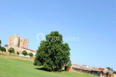 Vue aérienne d'un château médiéval entouré de verdure, au cœur d'une petite ville avec des habitations et des routes.