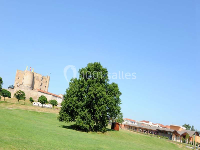 Vue d'un château médiéval sur une colline, entouré d'arbres et de bâtiments modernes sous un ciel dégagé.