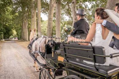 Location salle Saint-Denoual (Côtes-d'Armor) - La Guyomarais #16