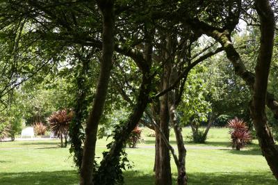Salle de réception éclairée par des lumières violettes, avec tables hautes décorées de bougies et un espace central dégagé.