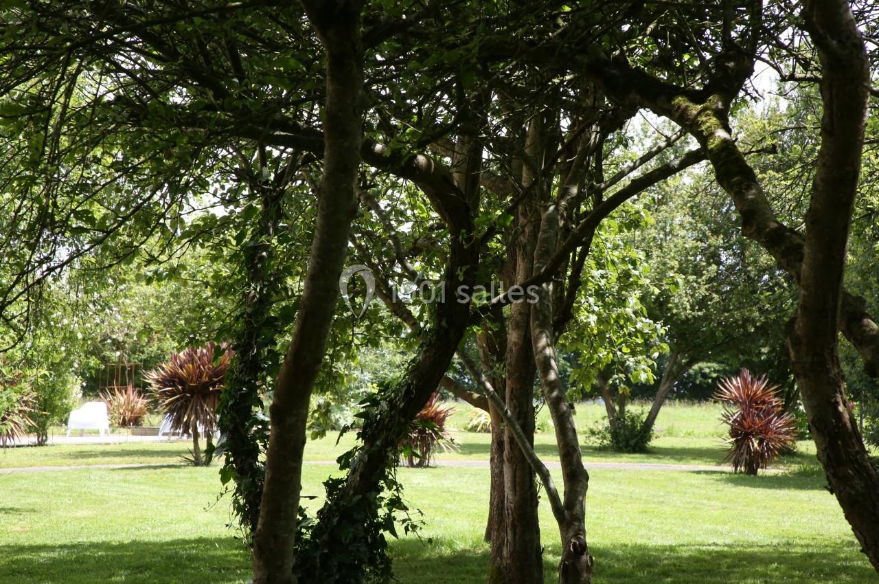 Arbres aux troncs fins dans un parc verdoyant avec pelouse et arbustes colorés en arrière-plan.