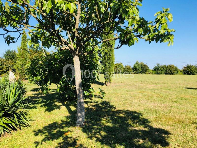 Location salle Montauban-de-Bretagne (Ille-et-Vilaine) - Domaine De La Ville Lesné #10