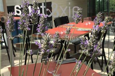 Location salle Marseille 8 (Bouches-du-Rhône) - Aix & Terra - Marseille #20