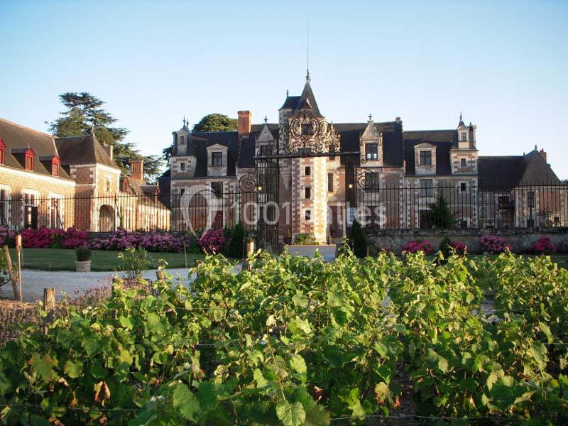 Façade d'un château en briques et pierres entouré de vignes et de massifs fleuris sous un ciel dégagé.