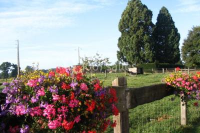 Location salle Bagnoles-de-l'Orne (Orne) - Hôtel de Tessé #12